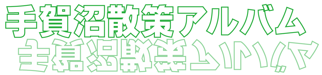手賀沼散策アルバム
