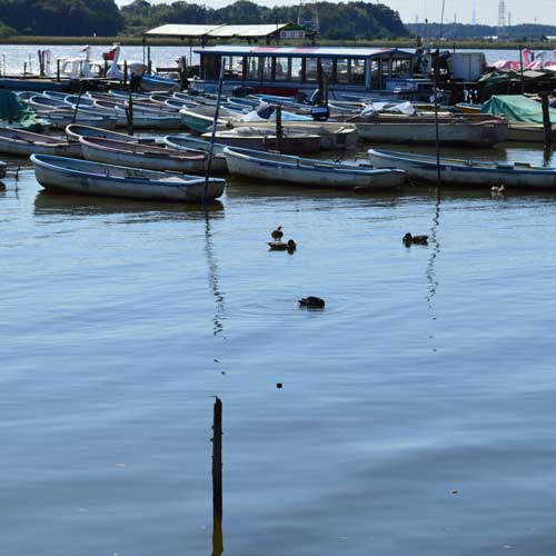 ボートもあります。